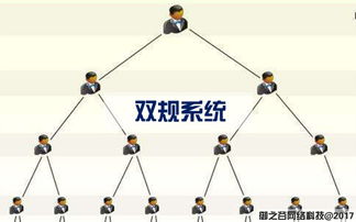 御之谷網(wǎng)絡(luò) 專業(yè)軟件開(kāi)發(fā)與網(wǎng)絡(luò)開(kāi)發(fā)服務(wù)的引領(lǐng)者